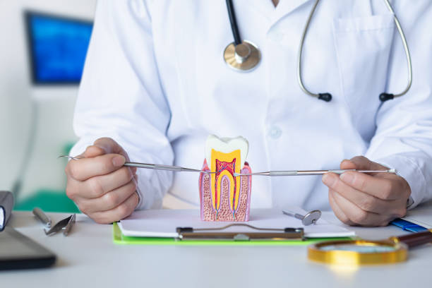 Best Emergency Root Canal Treatment in Junction City, OR